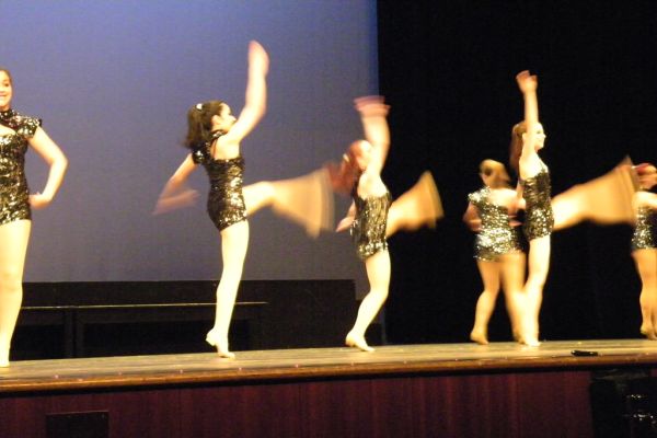 Ann Arbor Dance Classics 2011 Benefit Show (Saline High School, Michigan)