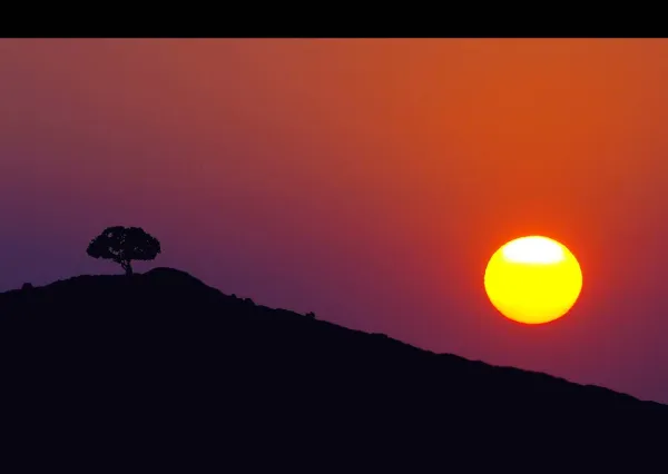 Dancing with the sun...