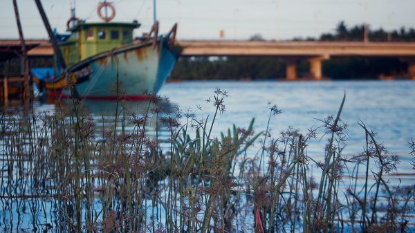 A Prayer for Japan: Swaying Grass Dance (DSC2910)