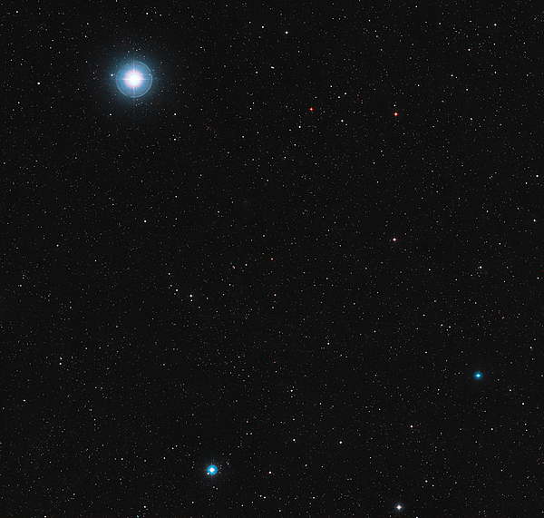 File:The sky around the red dwarf star Ross 128.jpg