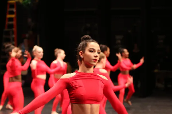 Performance for Ann Arbor Dance Classics 2017 Benefit Show (Saline High School, Michigan)